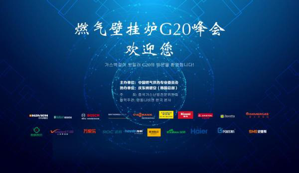 中国燃气壁挂炉G20